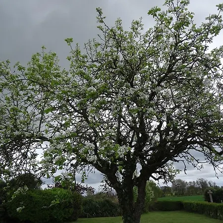 Σπίτι διακοπών La Vente Passais-la-Conception